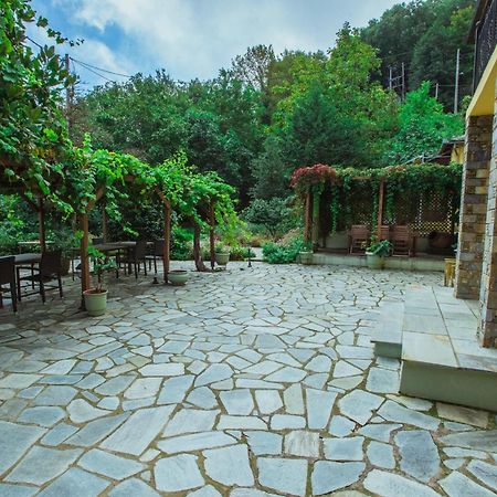Ellis Full Guest House Tsagkarada Exterior foto